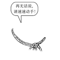 3365edda8520260307195901